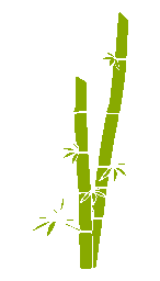 Two bamboo plants