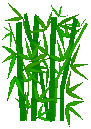 Some bamboo plants