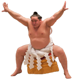 A sumo champion with ceremonial apron and belt